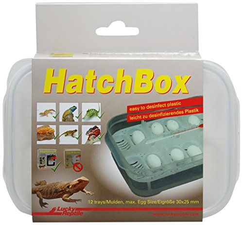 Lucky Reptile Hatchbox von Lucky Reptile