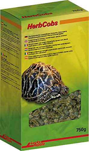 Lucky Reptile Herb Cobs 750 g, 1er Pack (1 x 750 g) von Lucky Reptile