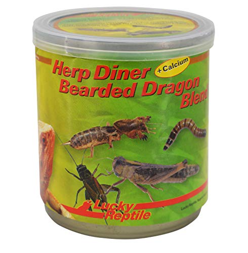 Lucky Reptile Herp Diner Bearded Dragon Blend von Lucky Reptile