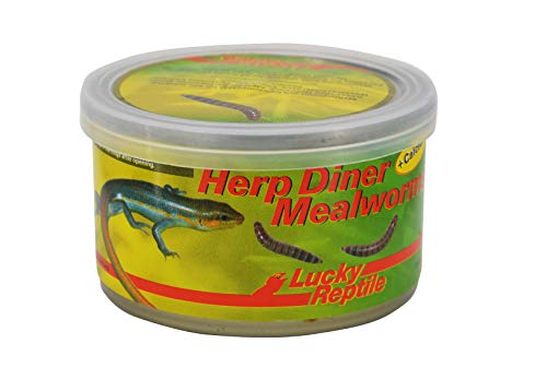 Lucky Reptile Herp Diner Mealworms 35 g - gekochte Mehlwürmer für Reptilien, Vögel & Fische - Mehlwürmer Futter Mix ideal für Bartagamen & Wasserschildkröten - mit Sepia für extra Calcium von Lucky Reptile