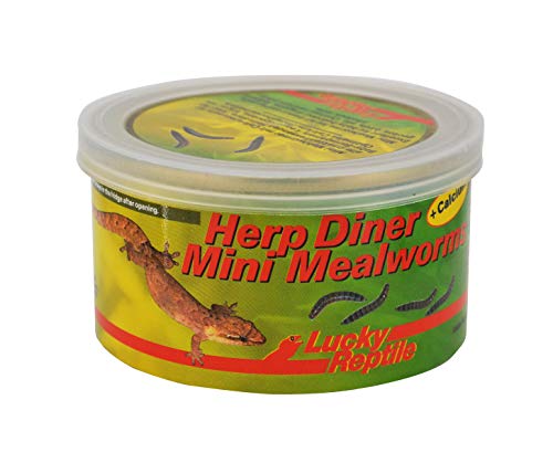 Lucky Reptile Herp Diner Mini Mealworms 35 g - gekochte Mehlwürmer für Reptilien, Vögel & Fische - Mehlwürmer Futter Mix ideal für Bartagamen & Wasserschildkröten - mit Sepia für extra Calcium von Lucky Reptile