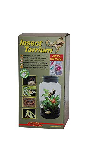 Lucky Reptile ITH-5 InsectTarrium 5 l Halogen von Lucky Reptile