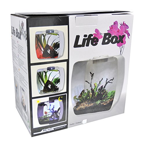 Lucky Reptile LB-30W Life Box 30 Designterrarium aus Acrylglas, weiß von Lucky Reptile