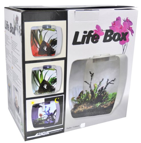 Lucky Reptile LB-35W Life Box 35 Nanoterrarium aus Acrylglas, weiß von Lucky Reptile