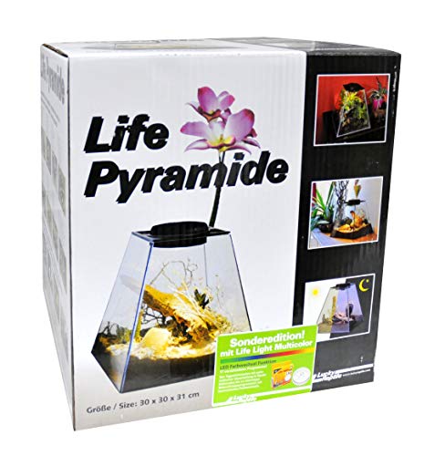 Lucky Reptile LP-30M Life Pyramid 30 mit Light Mehrfarbig von Lucky Reptile