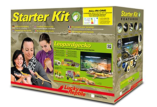 Lucky Reptile Leopardgecko Starter Kit 80 cm - hochwertiges Gecko Terrarium Komplettset für die Aufzucht und Dauerhaltung von Geckos - Starter Set Leopard Gecko für Einsteiger in schwarz, 1 Stück (1er Pack) von Lucky Reptile