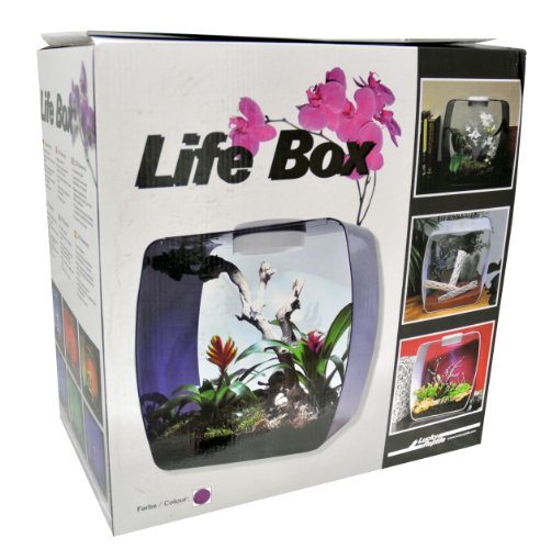 Lucky Reptile Life Box 35 beere, Nanoterrarium aus Acrylglas von Lucky Reptile