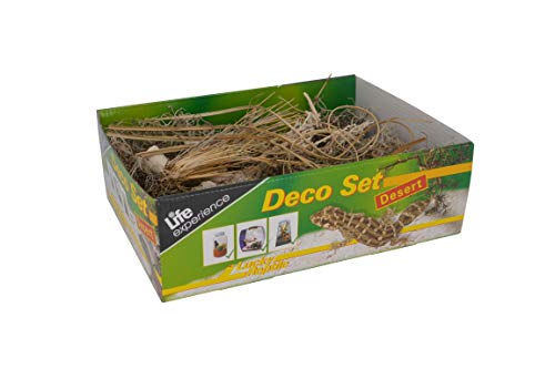 Lucky Reptile Life Experience Deco Set Wüste, Dekoartikel für Terrarien, 1 Stück (1er Pack) von Lucky Reptile