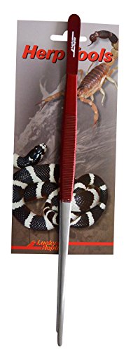 Lucky Reptile PG-30 Futterpinzette 30 cm von Lucky Reptile