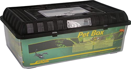 Lucky Reptile Pet Box groß, Circa 42x26x16 cm von Lucky Reptile