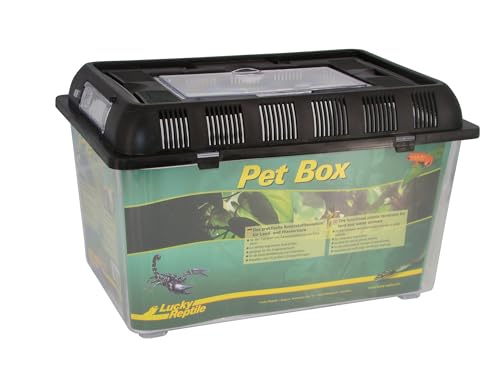 Lucky Reptile Pet Box mittel, Circa 32,5x22x21 cm von Lucky Reptile