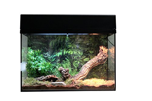 Lucky Reptile - Spinne & Skorpion Starter Kit 50 cm - Vogelspinnen Terrarium Komplettset - hochwertiges Terrarium Kit inkl Zubehör für Einsteiger - Starter Set Spinnen und Skorpione in schwarz, 1 Stück (1er Pack) von Lucky Reptile