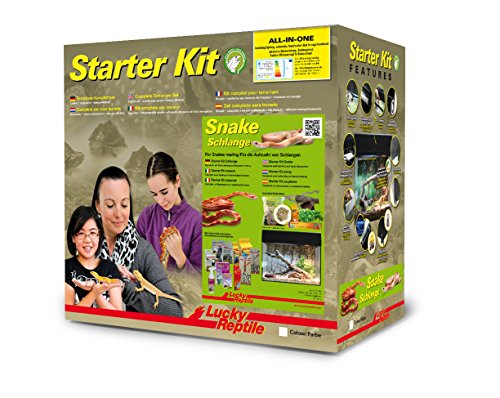 Lucky Reptile Starter Kit Schlange, Farbe:Schwarz, Terrarienmaße (B/T/H):50 x 28 x 40 cm von Lucky Reptile