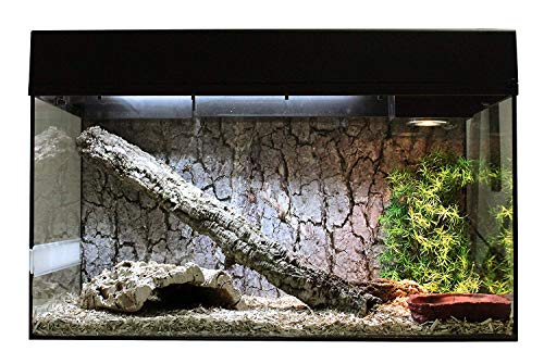 Lucky Reptile Starter Kit Schlange, Farbe:Schwarz, Terrarienmaße (B/T/H):80 x 40 x 52 cm von Lucky Reptile