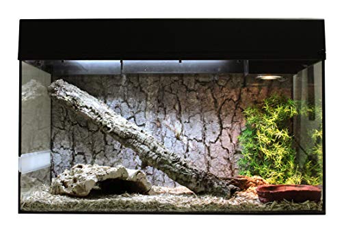 Lucky Reptile Schlangen Starter Kit 80 cm - hochwertiges Schlangen Terrarium Komplettset für die Aufzucht und Dauerhaltung von kleinen Schlangen - Starter Set Schlangen für Einsteiger in weiß, Weiß, (ca. 80x40x52 cm) von Lucky Reptile