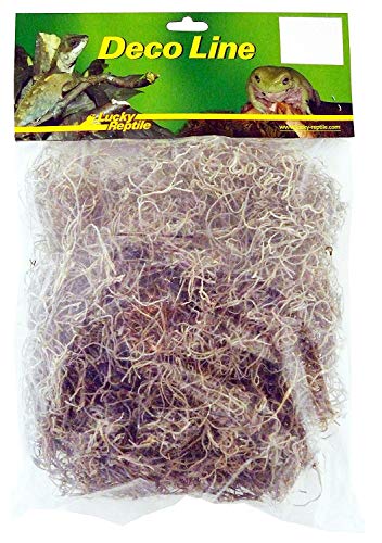 Lucky Reptile Spanisches Moos 50 g, Einrichtung von Trocken- und Feuchtterrarien von Lucky Reptile