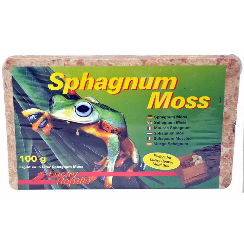 Lucky Reptile Sphagnum Moos 100g von Lucky Reptile