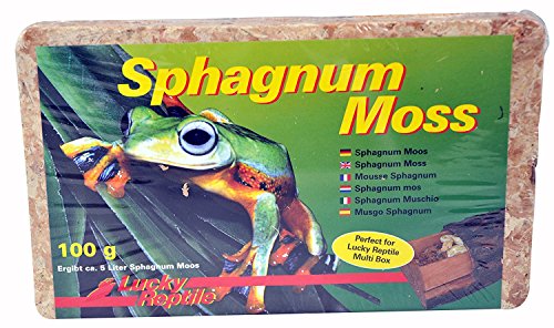 Lucky Reptile Sphagnum Moss - 100 g Terrarienmoos Ziegel für Reptilien - Terrarium zur Erhöhung der Luftfeuchtigkeit - Moos aus kontrolliertem Anbau Orchideen & Bromelien - Zubehör von Lucky Reptile