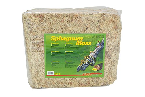 Lucky Reptile Sphagnum Moos Ziegel, Inhalt:25 Liter von Lucky Reptile