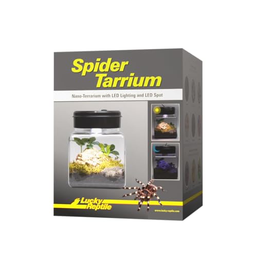 Lucky Reptile SpiderTarrium von Lucky Reptile