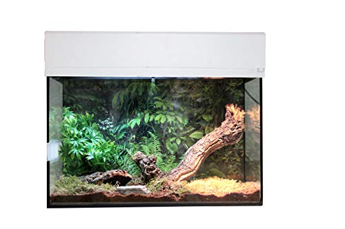 Lucky Reptile - Spinne & Skorpion Starter Kit 50 cm - Vogelspinnen Terrarium Komplettset - hochwertiges Terrarium Kit inkl Zubehör für Einsteiger - Starter Set Spinnen und Skorpione in weiß von Lucky Reptile