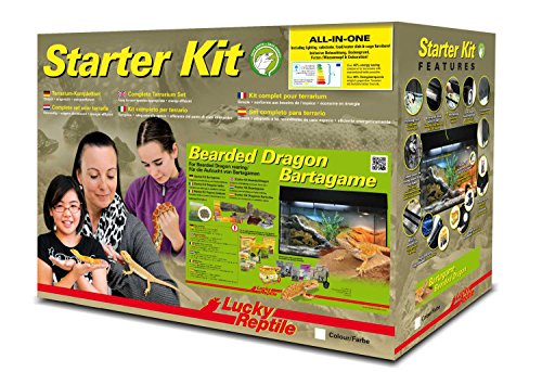 Lucky Reptile Starter Kit Bartagame, Farbe:Schwarz von Lucky Reptile