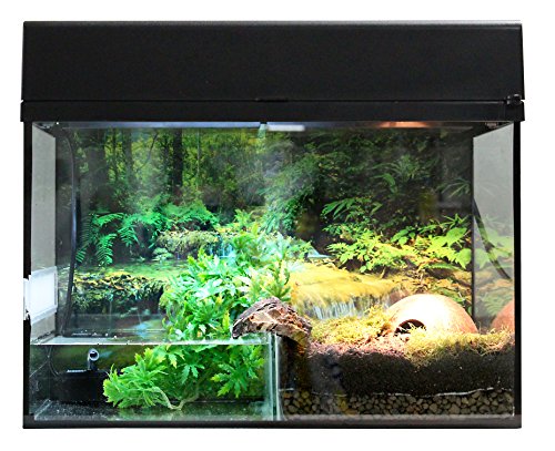 Lucky Reptile Starter Kit Bombina/Pacman, Farbe:Schwarz, Terrarienmaße (B/T/H):80 x 40 x 52 cm von Lucky Reptile