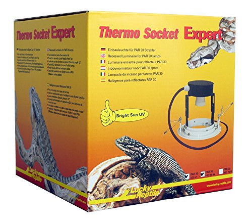 Lucky Reptile Thermo Socket Expert Einbauleuchte, Farbe:Weiß, Variante:PAR30 von Lucky Reptile