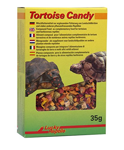 Lucky Reptile Tortoise Candy, Inhalt:35 Gramm von Lucky Reptile