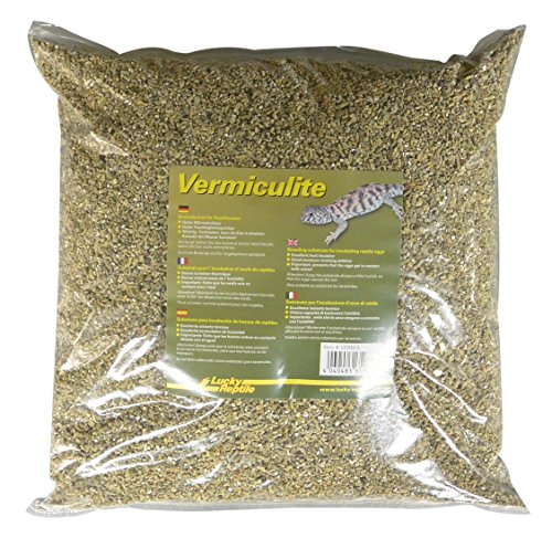 Lucky Reptile Vermiculite - 5 Liter Brutkonzentrat für Reptilieneier - Inkubationssubstrat wärmeisolierend & Feuchtigkeit regulierend - Vermiculit für Reptilienzucht - Bodengrund Terrarium von Lucky Reptile