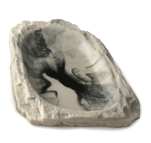 Lucky Reptile Water Dish Granit, Wassernapf oder Futternapf für Reptilien und andere Heimtiere, Granit, ca. 14x12x2 cm von Lucky Reptile