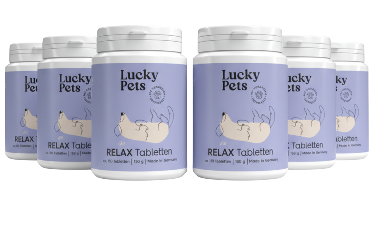 Lucky Pets Relax Tabletten - Beruhigungsmittel für Hunde mit L-Tryptophan, Baldrian & Hopfen - 6er Spar-Paket Lucky Pets Relax Tabletten - Beruhigungsmittel für Hunde mit L-Tryptophan, Baldrian & Hopfen - 6er Spar-Paket von LuckyPets