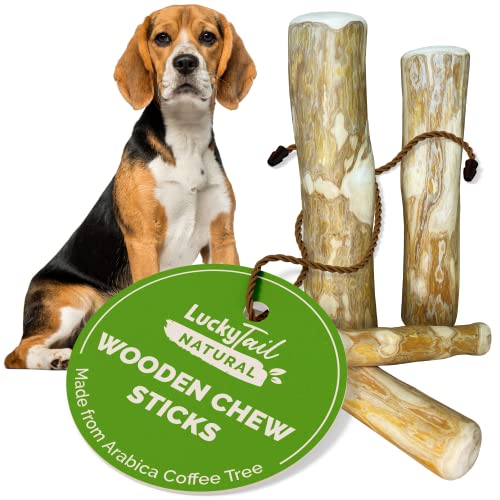 LuckyTail Holzstab – Kaffeebaum Hundespielzeug für aggressive Kauer (extra groß, 2 Stück) von LUCKY TAIL