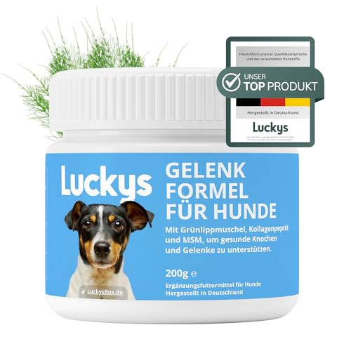 Luckys Box Gelenk-Formel für Hunde: Unterstützung der Gelenkfunktion – 200g Gelenkpulver mit MSM, Grünlippmuschel, Glucosamin, Chondroitin & Kollagen - Alternative zu Gelenktabletten von Luckys Box