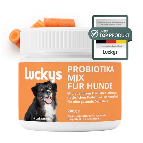Luckys Box Probiotika-Mix für Hunde: Darmflora Aufbau bei Juckreiz, Durchfall & Blähungen – 200g Darmkur mit Probiotika, Präbiotika, Flohsamenschalen & Bierhefe – Darmaufbau nach Wurmkur/Antibiotika von Luckys Box