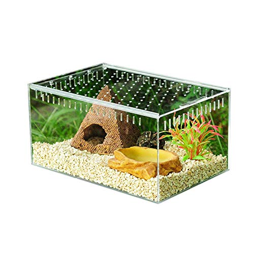 Luckyx Transparente Reptilien-Zuchtbox aus Acryl mit verschiebbarer Abdeckung Typ Futterbox Futterbox Acryl Terrarium mit Sichtfenster Wohnraum für Insekten Reptilien Lose Raupen Spinnen Schnecke von Luckyx