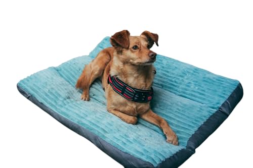 LucsPfotenWelt Hundebett, Hundekissen, Flauschige Hundematte, langer Plüsch, verschiedene Größen, weiche Polsterung, maschinenwaschbar, multifunktional, S-XL (100x75x7cm) von LucsPfotenWelt