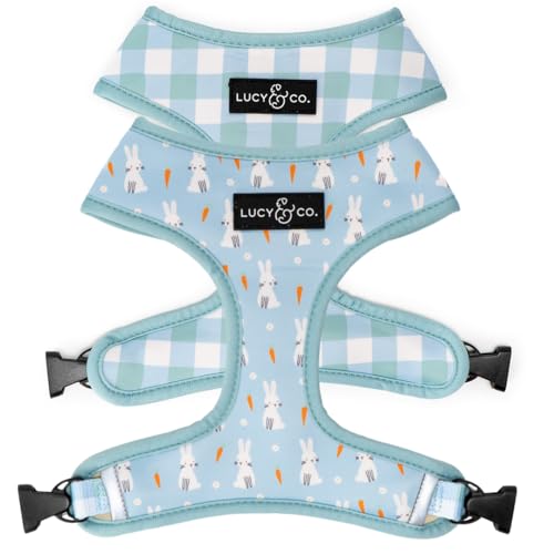 Lucy & Co. Funny Bunny, niedliches wendbares Hundegeschirr, Spazierengehen, Halfter – beste Designer-Haustiergeschirre für XS-XL Hunde – gepolsterte, verstellbare Weste für einfaches Spazierengehen, von Lucy & Co.