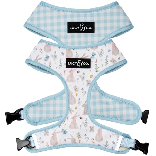 Lucy & Co. Funny Bunny niedliches wendbares Hundegeschirr, Spazierengehhalfter, beste Designer-Haustiergeschirre für XS-XL, gepolsterte, verstellbare Weste für einfaches Spazierengehen, Größe M von Lucy & Co.