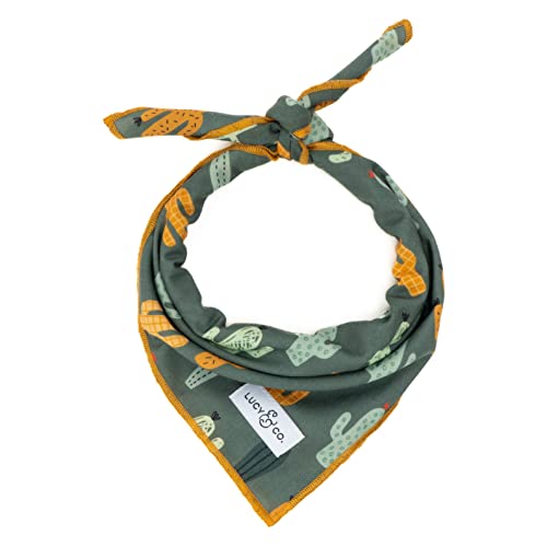 Lucy & Co. Looking Sharp Bandana – strapazierfähiges, bequemes Hundehalstuch, Designer-Welpen-Accessoire – maschinenwaschbar – kleiner grüner goldener Kaktus von Lucy & Co.