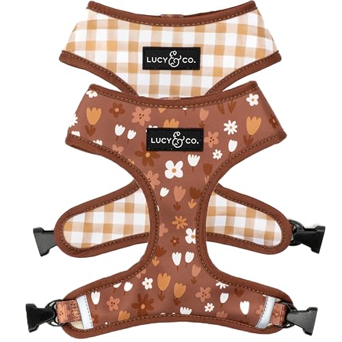 Lucy & Co. Niedliches, wendbares Hundegeschirr, Spazierengehhalfter, beste Designer-Haustiergeschirre für XS-XL Hunde, gepolsterte, verstellbare Weste für einfaches Spazierengehen, Größe S, von Lucy & Co.