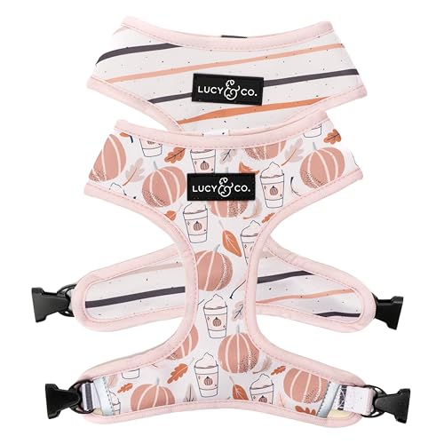 Lucy & Co. Niedliches wendbares Hundegeschirr, Spazierengehhalfter, beste Designer-Haustiergeschirre für XS-XL, gepolsterte, verstellbare Weste für einfaches Spazierengehen, Größe S, toller Herbst, von Lucy & Co.