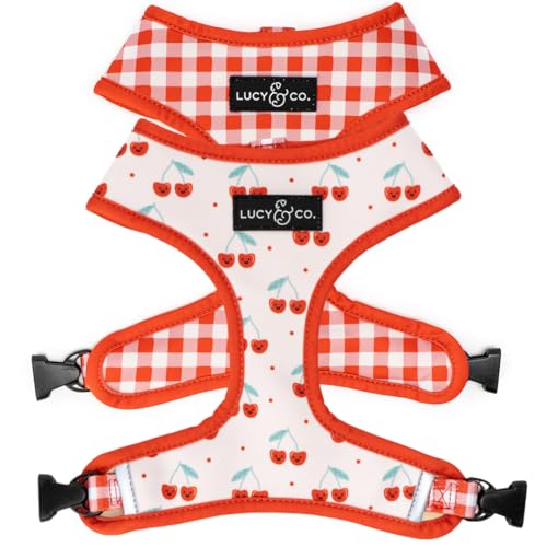 Lucy & Co. Cheery Cherries, niedliches wendbares Hundegeschirr, Spazierengehhalfter, beste Designer-Haustiergeschirre für XS-XL, gepolsterte, verstellbare Weste für einfaches Spazierengehen, Größe XL von Lucy & Co.