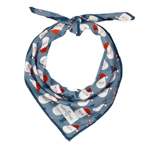 Lucy & Co. Santa Land Frost Bandana – Designer-Welpenzubehör 100% Polyester Weich, stilvoll und für jeden Anlass geeignet. Maschinenwaschbar (groß, silberblauer Weihnachtsmann) von Lucy & Co.