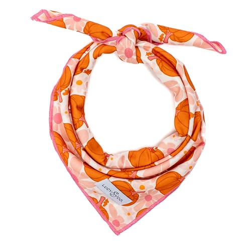 Lucy & Co. Sugar & Pumpkin Spice Bandana – Designer-Welpenzubehör 100 % Polyester Weich, stilvoll und für jeden Anlass geeignet. Maschinenwaschbar (klein, orange & rosa Kürbisse) von Lucy & Co.