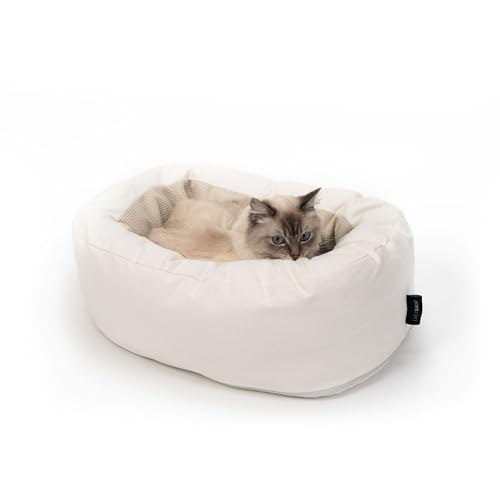 LucyBalu® Dinghy Katzenbett waschbar für kleine & große Katzen | Katzen Schlafplatz | Katzenkissen | Katzensofa | Katzen Kuschelbett | Katzen Bettchen | Katzen Couch | Katzen Liegeplatz | Weiß von LucyBalu