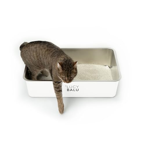 LucyBalu® Edelstahl Katzenklo geruchsfrei | große Katzentoilette aus Edelstahl | offenes Katzenklo für den Einstieg von Oben | hop-in Katzen Klo ohne Deckel | Katzen WC | Edelstahl Wanne | Weiß von LucyBalu