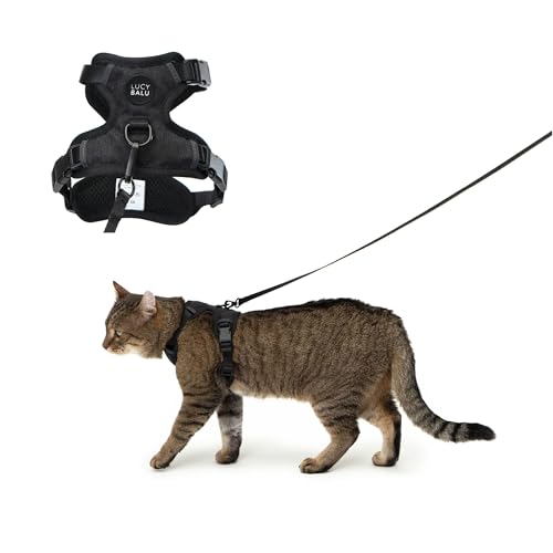 LucyBalu® Explorer Katzengeschirr mit Leine | ausbruchsicheres Katzengeschirr mit AirTag Fach | Katzen Brustgeschirr mit Katzenleine | Sicherheitsgeschirr mit Leine für Katzen | Schwarz M/L von LucyBalu