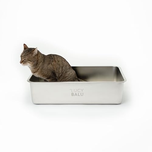 LucyBalu® STEELOO Edelstahl Katzenklo geruchsfrei | XXL-Katzentoilette aus Edelstahl | offenes Katzenklo für Einstieg von oben | modernes hop-in Katzen Klo ohne Deckel | Katzen WC | Edelstahl Wanne von LucyBalu