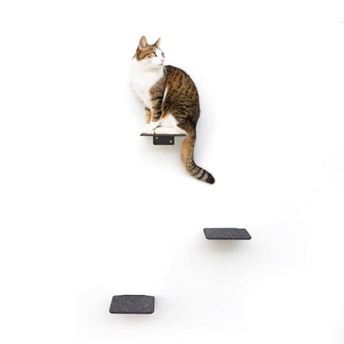 LucyBalu® STEPS Katzentreppe Wand Innen & Außen 3er Set | Katzen Kletterwand | Wandpark für Katzen bis 7kg | Katzenleiter | Anti-Rutsch Beschichtung | 3 Stufen | Wandbefestigung | 18 x 18 cm Anthrazit von LucyBalu